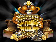 gopher gold